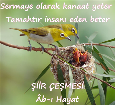 şiir