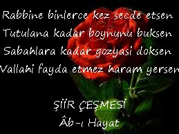 şiir