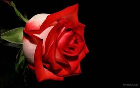 1.hediyemiz :)