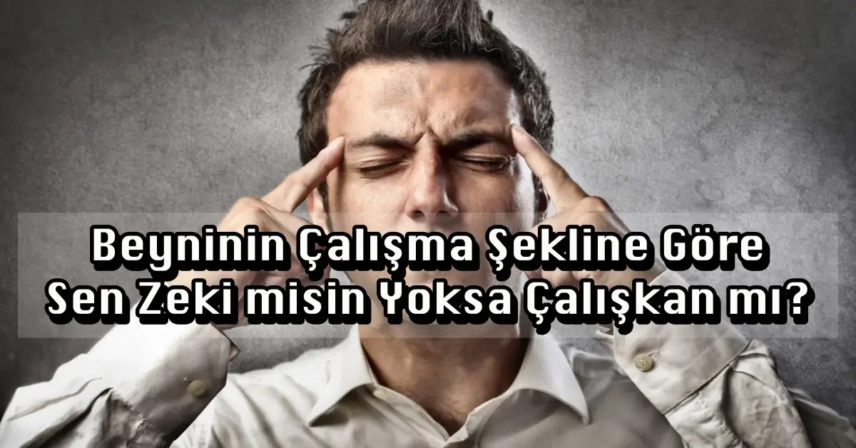 Çalışkan mıyım? testi
