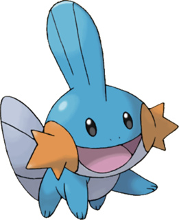 Du Yu Liek Mudkipz