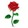 Gift 17 