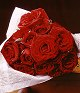 Gift 12 