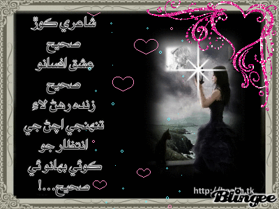 Shairy Korr Sahi