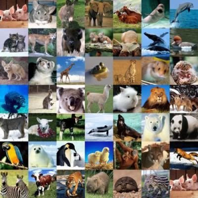 Quel Animal Étais-Tu Dans Une Vie Antérieur? ;)