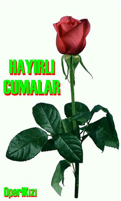 Cumanız Mübarek Olsun Ettiğiniz her dua; derdinize deva, hastalara şifa, gözlere nur, gönüllere huzur, geçmişlere rahmet, evinize bereket getirsin...