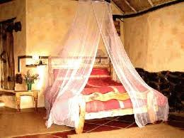 Honeymoon suite 