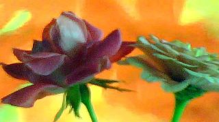 FLOWER,S