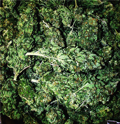 Weed