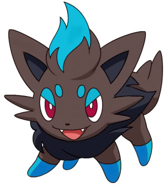  shiny zorua