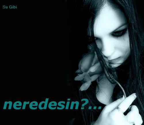 Halin Mutlu Mu Mutsuz Mu