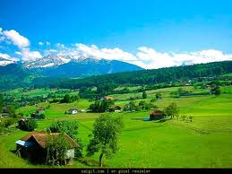 artvin3