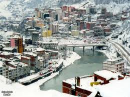 artvin