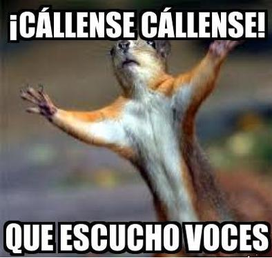Tienes Cerebro O No Looool