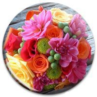 Rose 1