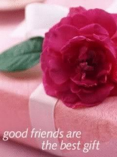 Rose 16