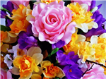 Beautiful Flowers