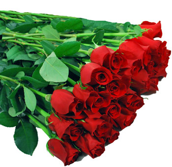 for you dear