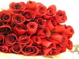 red roses