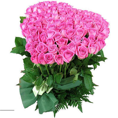 pink roses