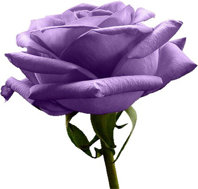 for you
