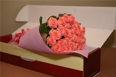 roses