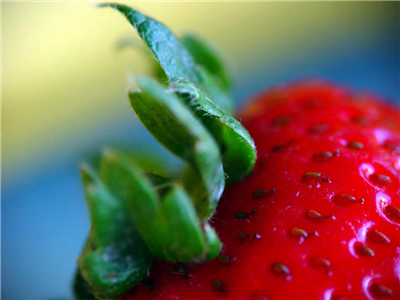 strawbery