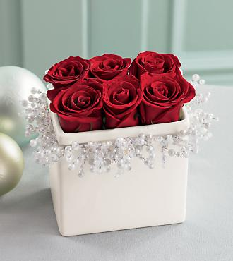rose 3