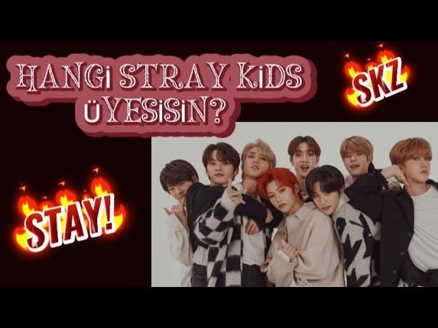 Hangi Stray Kids Üyesinin?