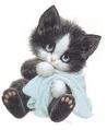 gato dorminhoco