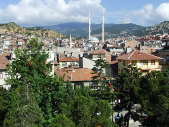 TOSYA