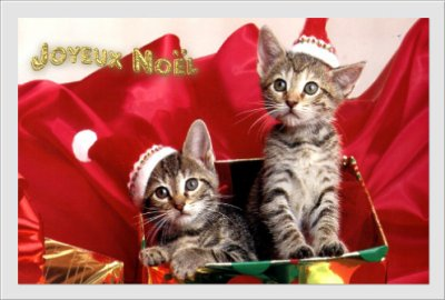 Joyeux Noel