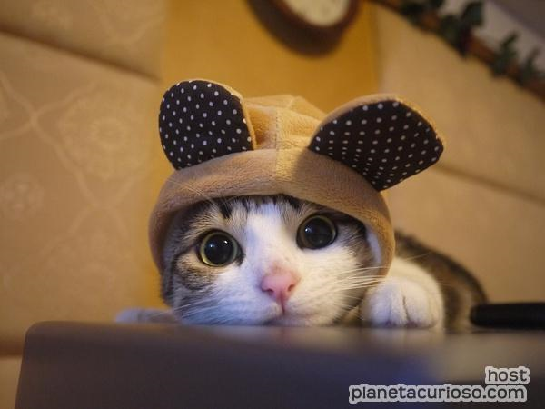 ¿Que Tan Tierno A Eres?