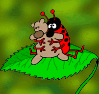 Hug me like a bug