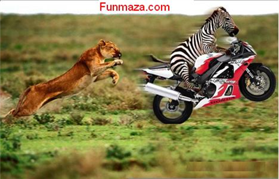 Catch me if you can