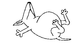 Zzzzzzz