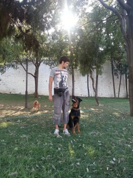 Hangi Köpek Sana Ait Acaba