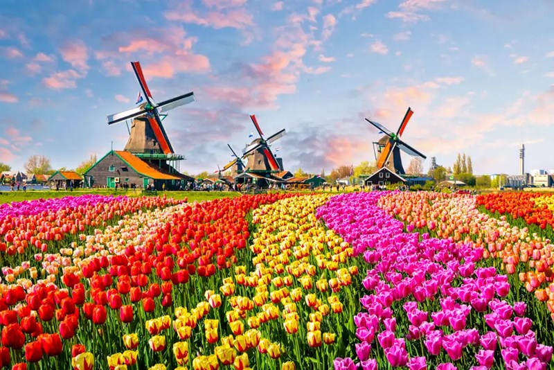 Netherlands 