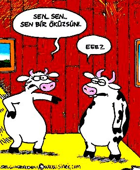 Nasıl Bir Öküzsün 
