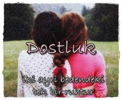 Nasil Dostsun ??