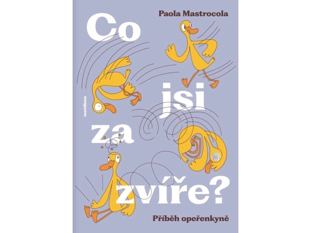 Co jsi za zvíře?