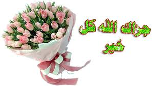 نعم كلها