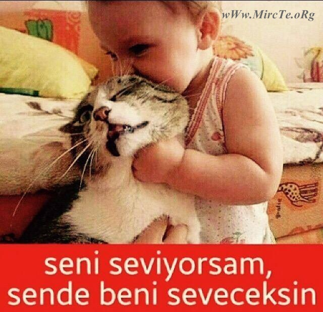 Seviyo Sevmiyo