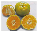 Gift Your Friends Fruit