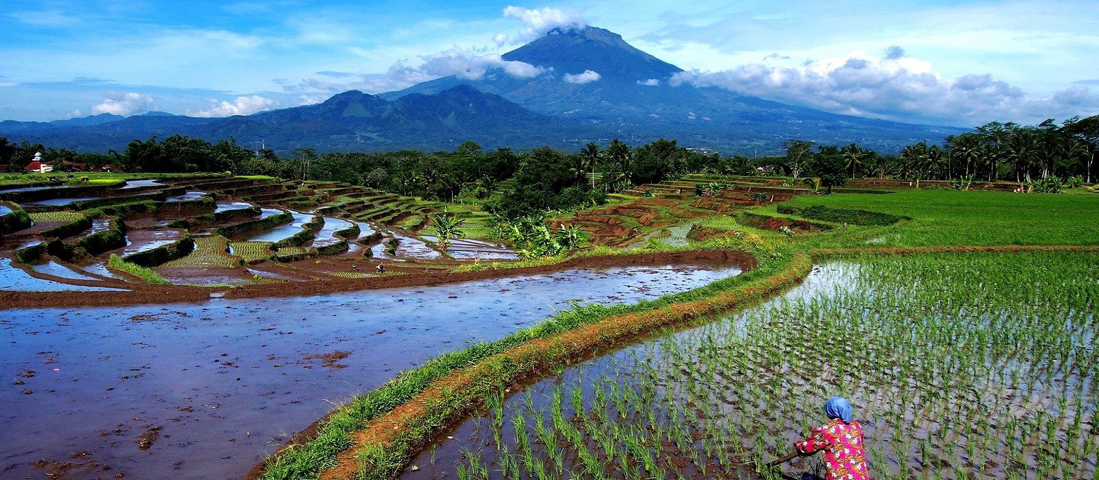 Seberapa tau kamu tentang desa pakaron 