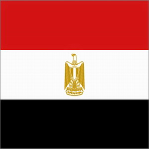 Which Team Will Be The Winner Egypt Or Algeria?