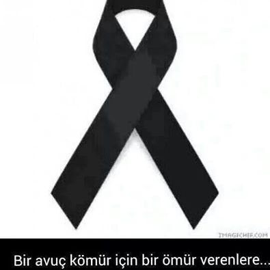 Hangi Takımlısın?