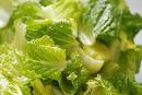 Panera Hand-Tossed Salads