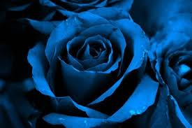 buonanotte amore mio