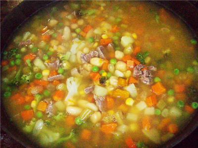 SOPA CAMPEIRA